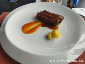 东北老太婆秘制酱料，口感醇厚，味道正宗，可搭配多种食材烹饪，让你的味蕾尽享美食盛宴