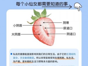 女性隐私秘免费观看的软件，安全无广告，值得拥有