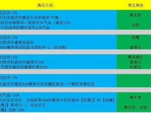 关于天地劫幽城再临燕明蓉魂石搭配的深度解析与建议