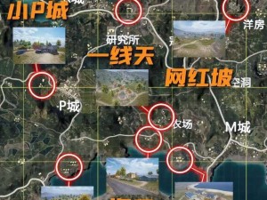 和平精英城区刚枪选择攻略：掌握城区优势，战斗胜率倍增之道