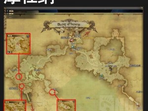 ff14陈旧的毒蜥蜴革地图位置详解：挖掘攻略与地图定位指南