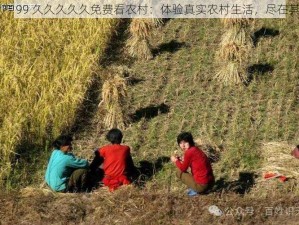 国产 99 久久久久久免费看农村：体验真实农村生活，尽在其中