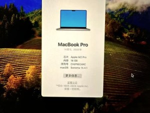 中国 windows 欧美 mac 的性能，专业办公、游戏娱乐两不误