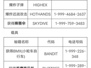 铲子骑士秘籍代码攻略：使用作弊码全解全揭秘