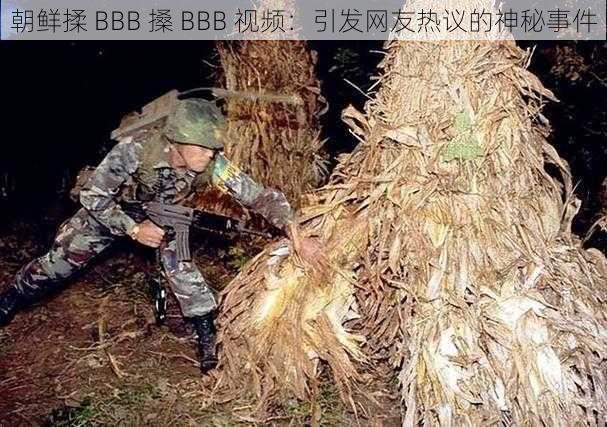 朝鲜揉 BBB 搡 BBB 视频：引发网友热议的神秘事件