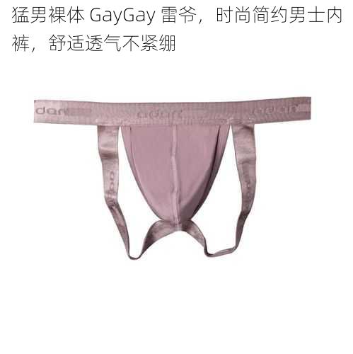 猛男裸体 GayGay 雷爷，时尚简约男士内裤，舒适透气不紧绷