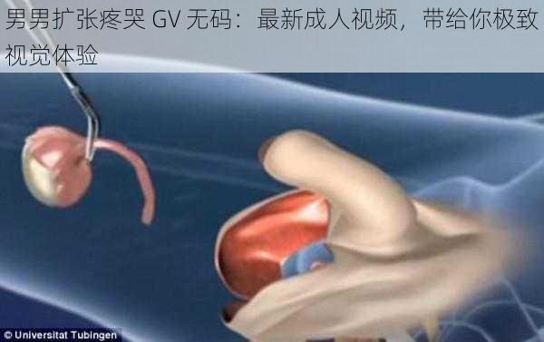 男男扩张疼哭 GV 无码：最新成人视频，带给你极致视觉体验