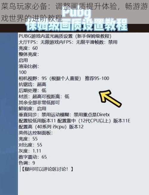 菜鸟玩家必备：调整画质提升体验，畅游游戏世界的进阶教程