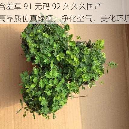 含羞草 91 无码 92 久久久国产 高品质仿真绿植，净化空气，美化环境