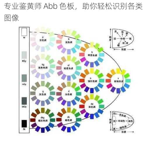 专业鉴黄师 Abb 色板，助你轻松识别各类图像