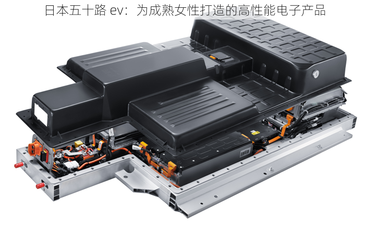 日本五十路 ev：为成熟女性打造的高性能电子产品