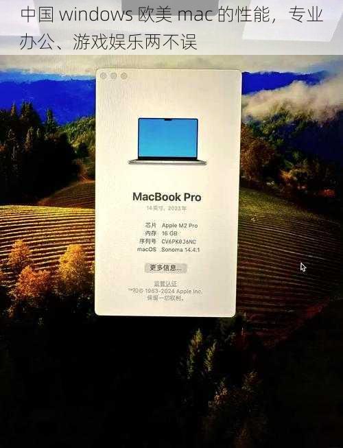 中国 windows 欧美 mac 的性能，专业办公、游戏娱乐两不误