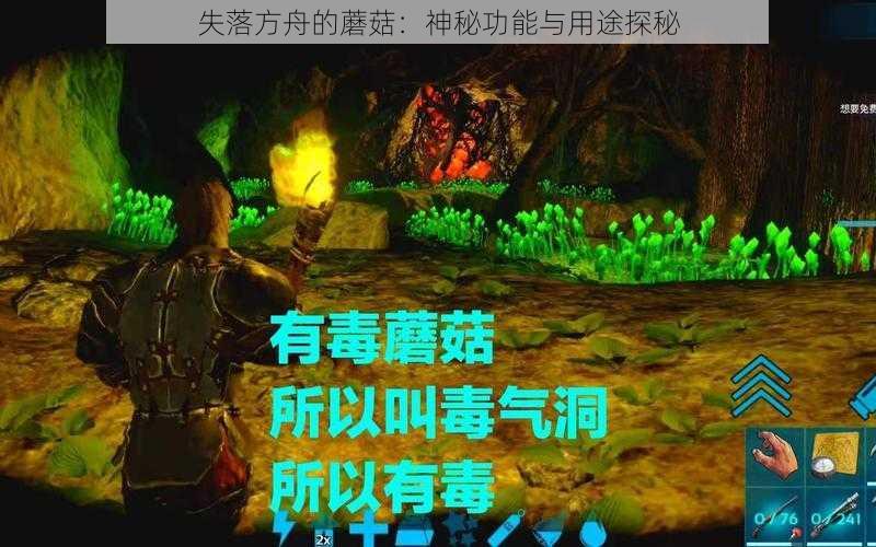 失落方舟的蘑菇：神秘功能与用途探秘