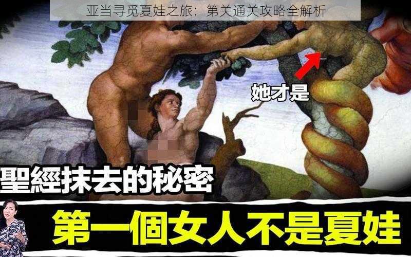 亚当寻觅夏娃之旅：第关通关攻略全解析