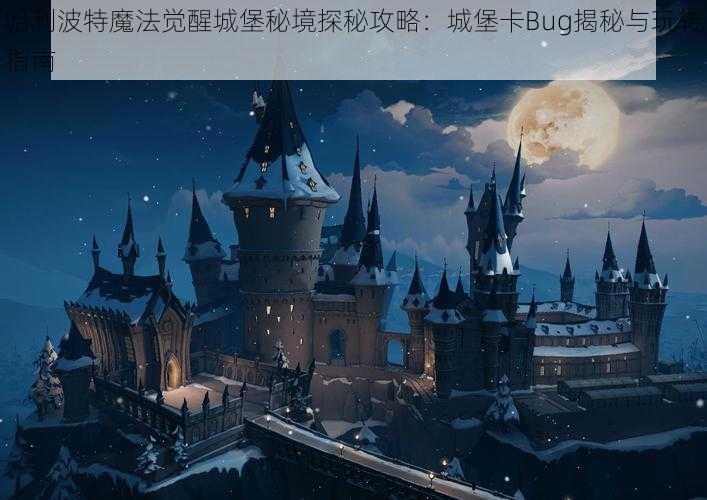 哈利波特魔法觉醒城堡秘境探秘攻略：城堡卡Bug揭秘与玩转指南