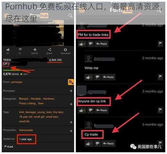 Pornhub 免费视频在线入口，海量高清资源，尽在这里