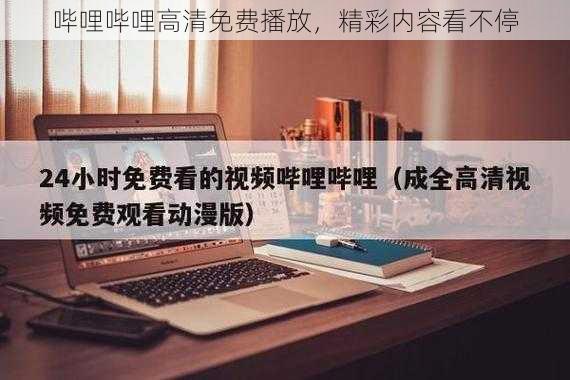 哔哩哔哩高清免费播放，精彩内容看不停