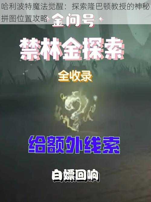 哈利波特魔法觉醒：探索隆巴顿教授的神秘拼图位置攻略