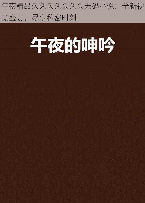 午夜精品久久久久久久久无码小说：全新视觉盛宴，尽享私密时刻