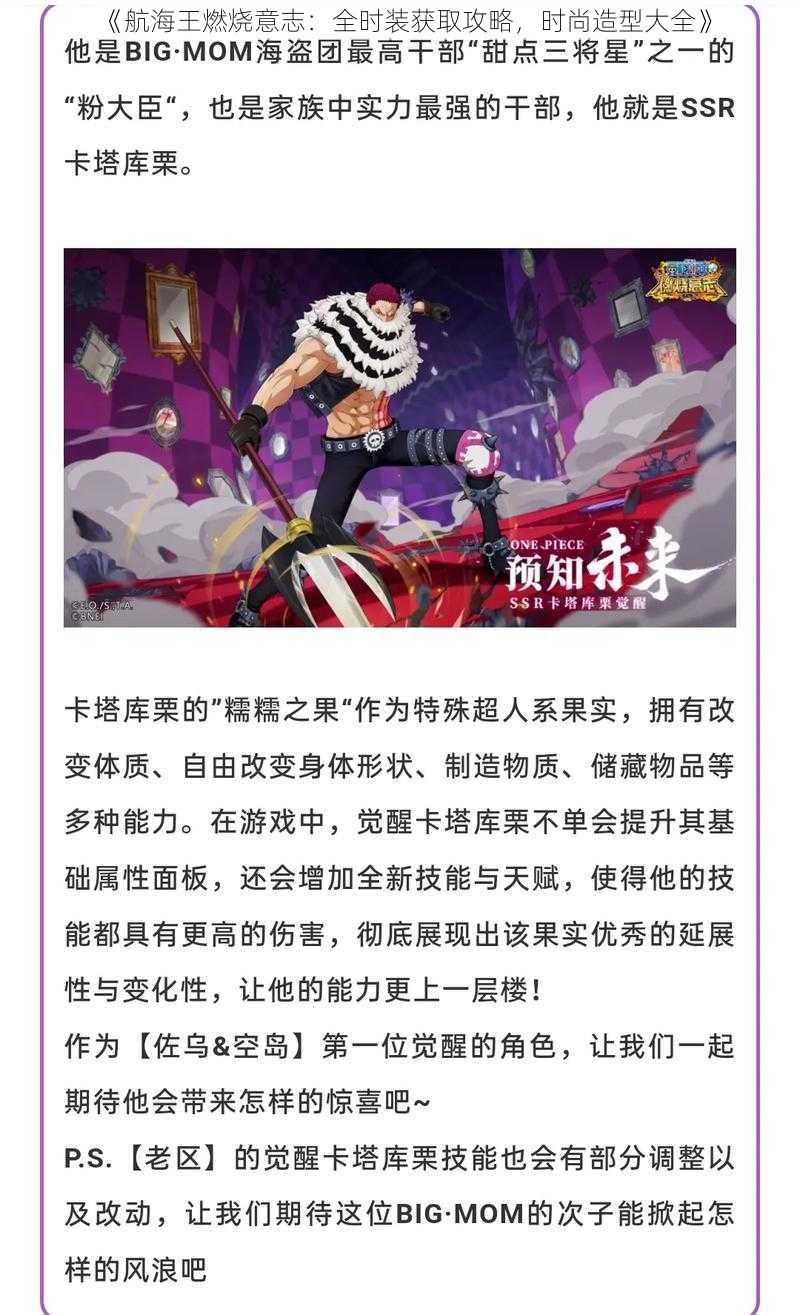 《航海王燃烧意志：全时装获取攻略，时尚造型大全》