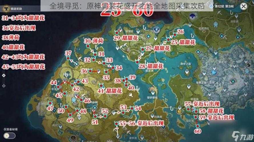 全境寻觅：原神霓裳花盛开之地全地图采集攻略