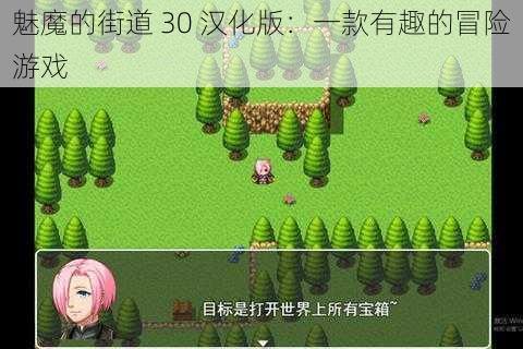 魅魔的街道 30 汉化版：一款有趣的冒险游戏