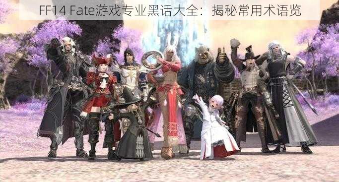 FF14 Fate游戏专业黑话大全：揭秘常用术语览