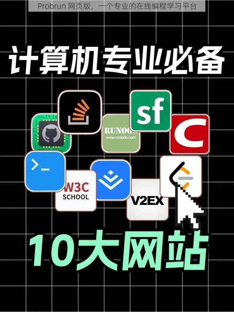 Probrun 网页版，一个专业的在线编程学习平台