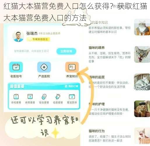 红猫大本猫营免费入口怎么获得？获取红猫大本猫营免费入口的方法