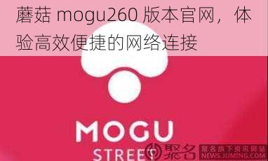 蘑菇 mogu260 版本官网，体验高效便捷的网络连接