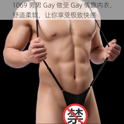 1069 男男 Gay 做受 Gay 情趣内衣，舒适柔软，让你享受极致快感